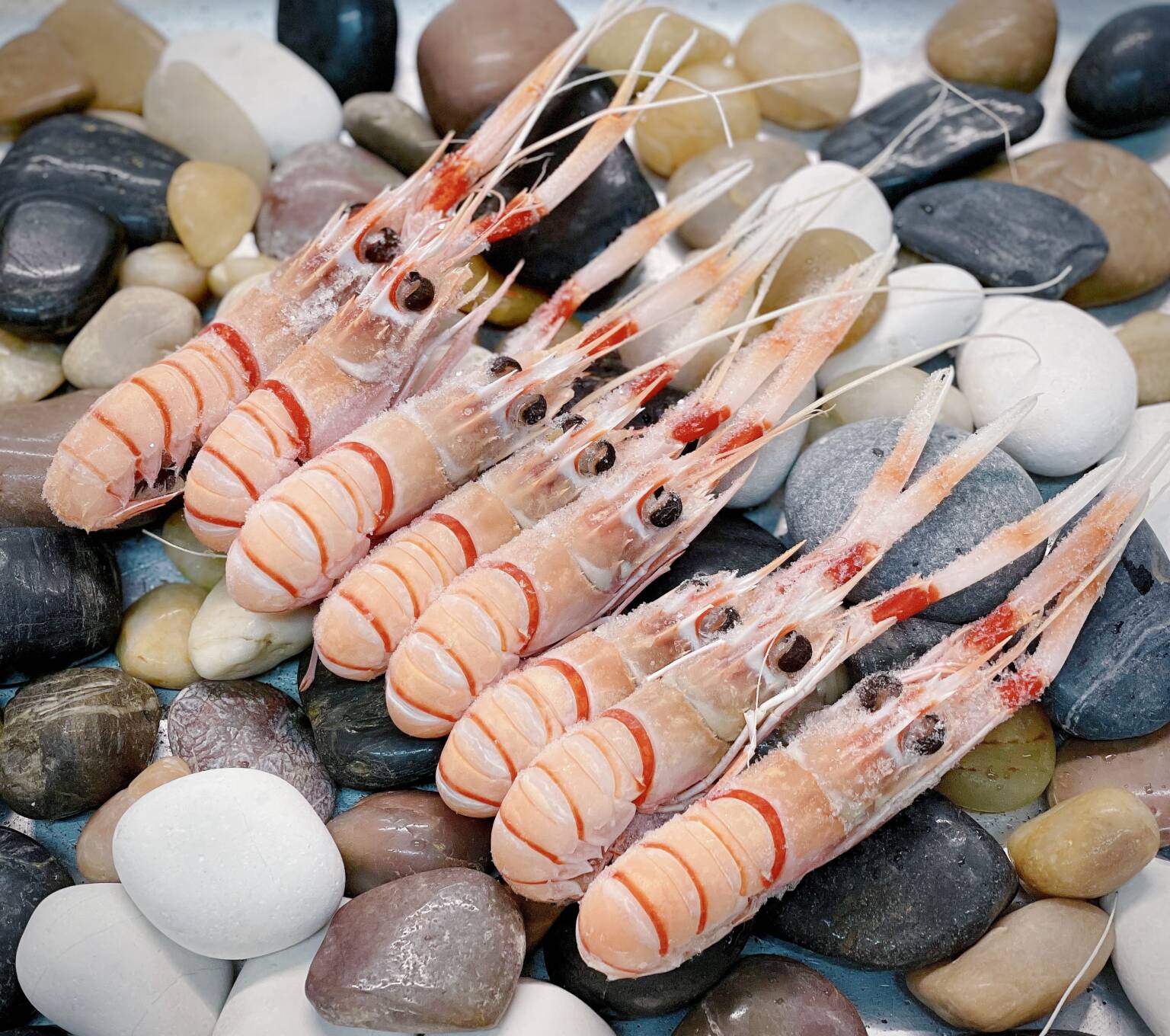 Frozen Whole Scampi (SIZE 1) Silver Spoon Seafoods