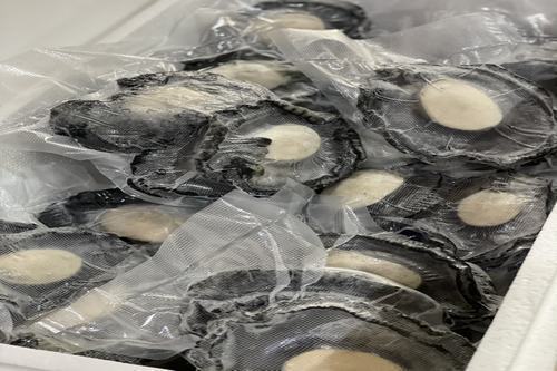 Frozen Paua Meat ( EACH )