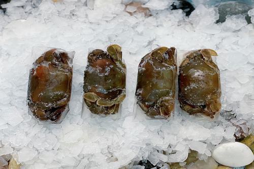 Frozen Raw Soft Shell Crab (80/100)