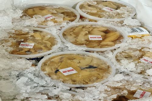 Fresh Kina (COROMANDEL)  Pot 150G