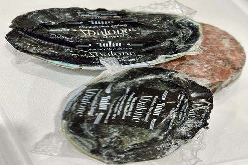 Frozen Blackfoot Paua in Shell (Wild Caught)